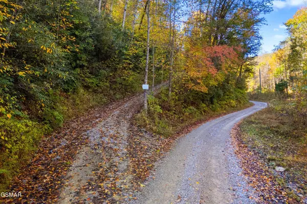 537 Reece Hollow, Del Rio, TN 37727