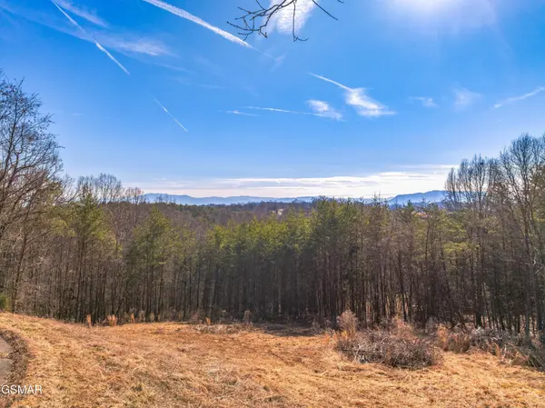 53 Kenneth Overlook, Kodak, TN 37764