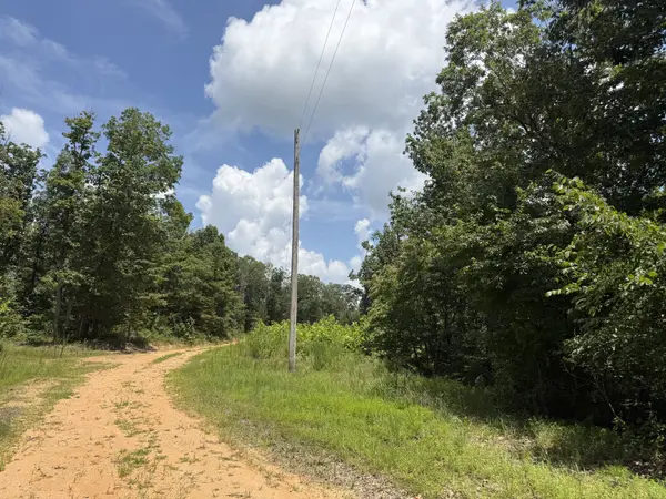 0 Petty Drive, Linden, TN 37096