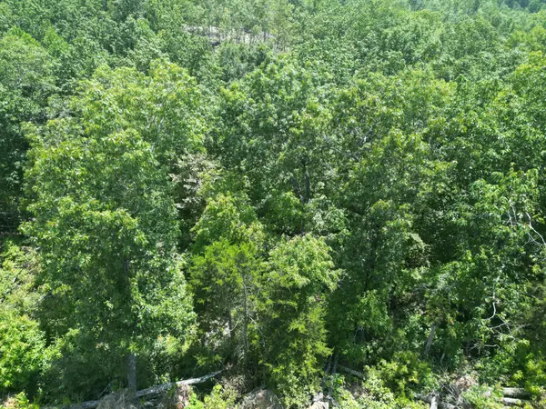 0 Petty Drive, Linden, TN 37096