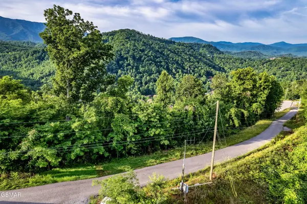 2 Ellis Ogle Road, Gatlinburg, TN 37738