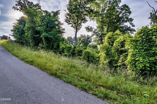 2 Ellis Ogle Road, Gatlinburg, TN 37738