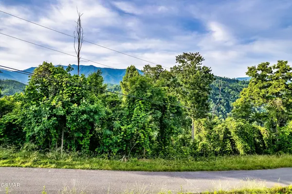 2 Ellis Ogle Road, Gatlinburg, TN 37738
