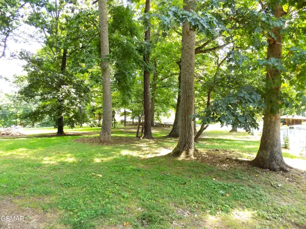 985 Ronald Drive, Talbott, TN 37877
