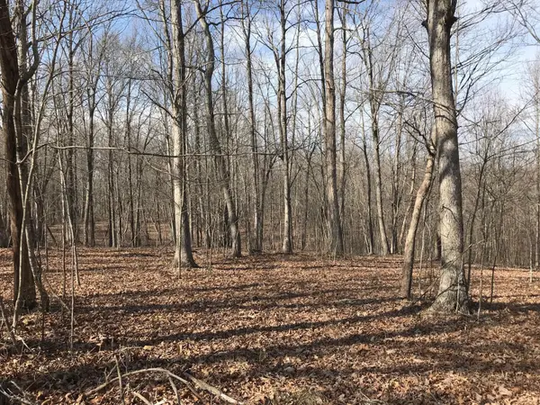 504 Wilderness Way, Dunlap, TN 37327