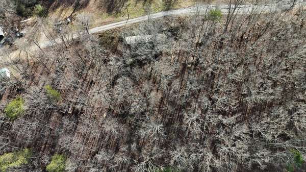 822 W Bates Street, Rockwood, TN 37854