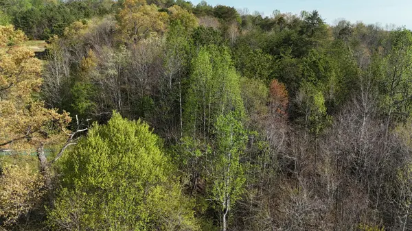 0 County Road 675, Athens, TN 37303