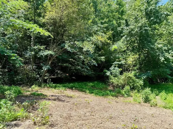 0 Ogle Drive, Pigeon Forge, TN 37863