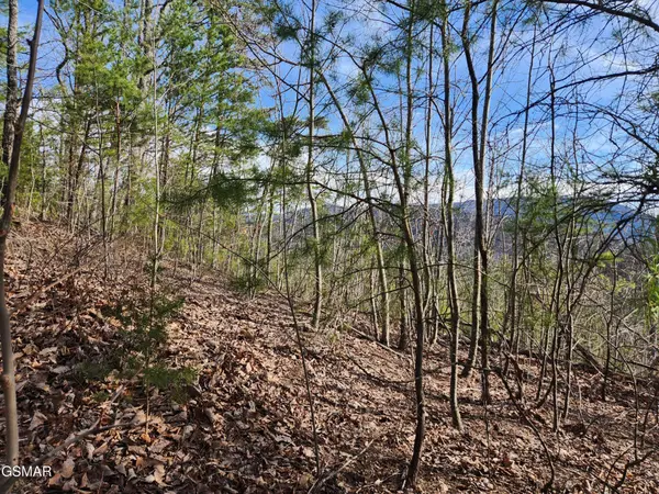 46 Feld Wynde Close Way, Sevierville, TN 37862