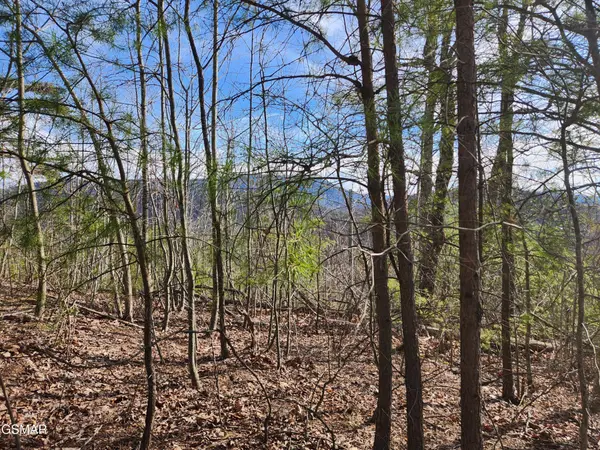 46 Feld Wynde Close Way, Sevierville, TN 37862