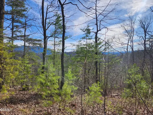46 Feld Wynde Close Way, Sevierville, TN 37862