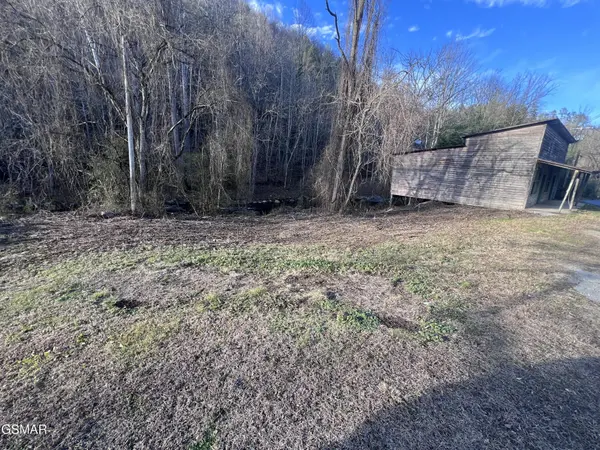 0 Blue Mill Road, Del Rio, TN 37727