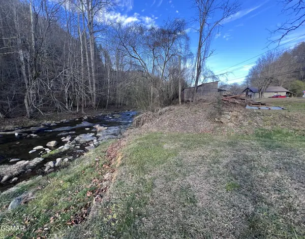 0 Blue Mill Road, Del Rio, TN 37727