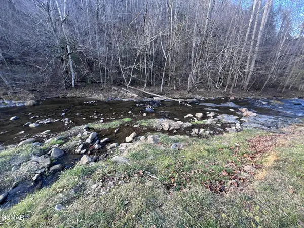 0 Blue Mill Road, Del Rio, TN 37727