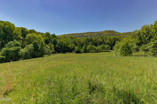 16 Thomas Cross Road, Sevierville, TN 37876