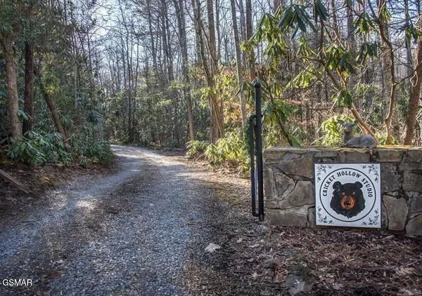 125 Cricket Hollow Way, Cosby, TN 37722