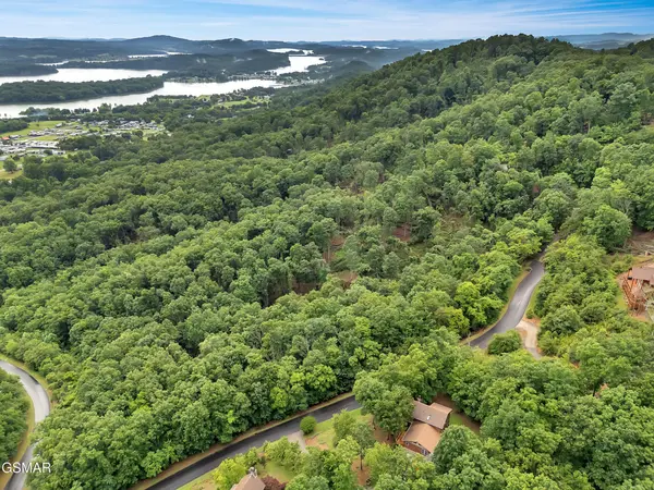 9097 Paradise View Drive, Mooresburg, TN 37811