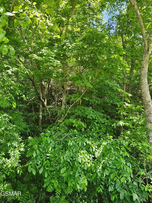 335 Oakwood Road, Midway, TN 37809