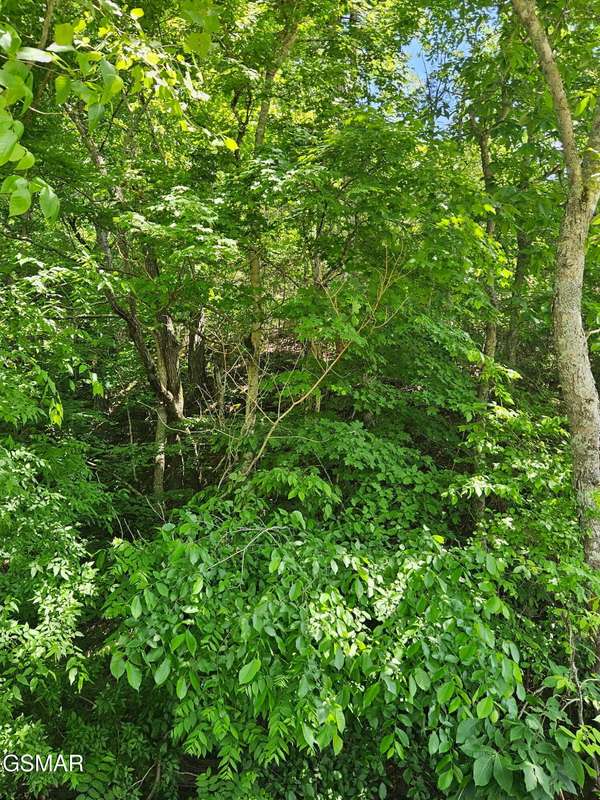 335 Oakwood Road, Midway, TN 37809