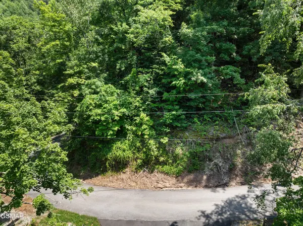 6 Wildcat Ridge Road, Sevierville, TN 37862