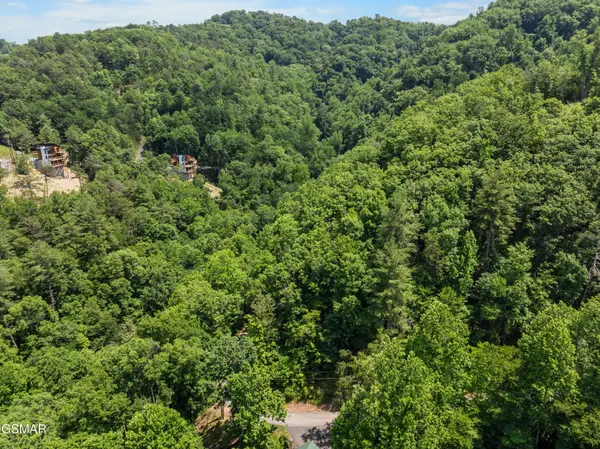6 Wildcat Ridge Road, Sevierville, TN 37862
