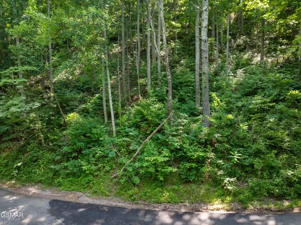 15 Emerald Springs Loop, Sevierville, TN 37862