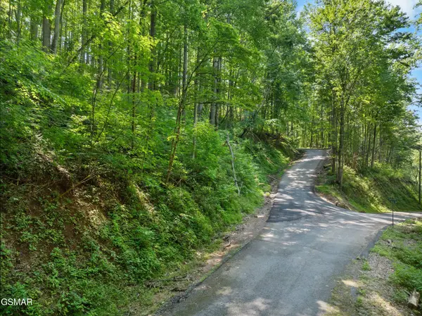 15 Emerald Springs Loop, Sevierville, TN 37862