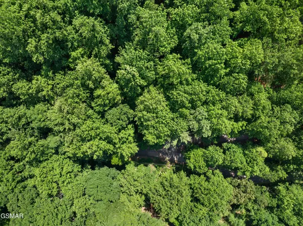 15 Emerald Springs Loop, Sevierville, TN 37862