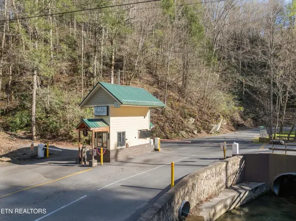 10 Balsam Slopes Rd, Sevierville, TN 37862
