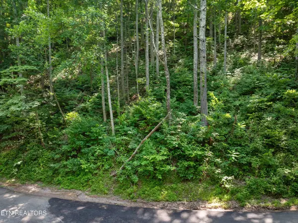 0 Emerald Springs Loop, Sevierville, TN 37862