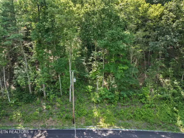 0 Emerald Springs Loop, Sevierville, TN 37862