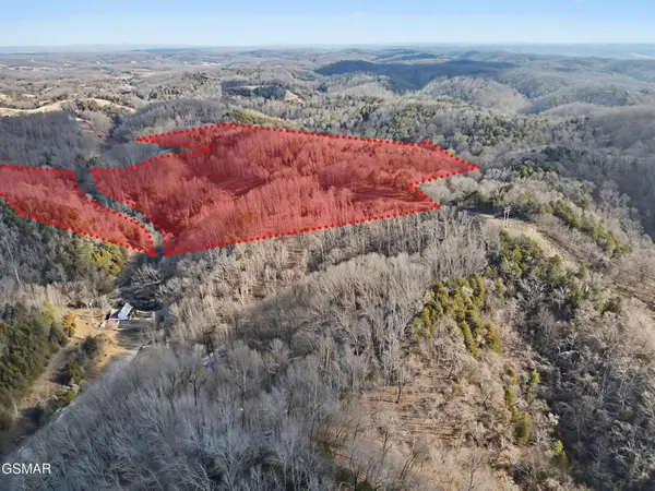 0 McAmis Hollow Road, Newport, TN 37821