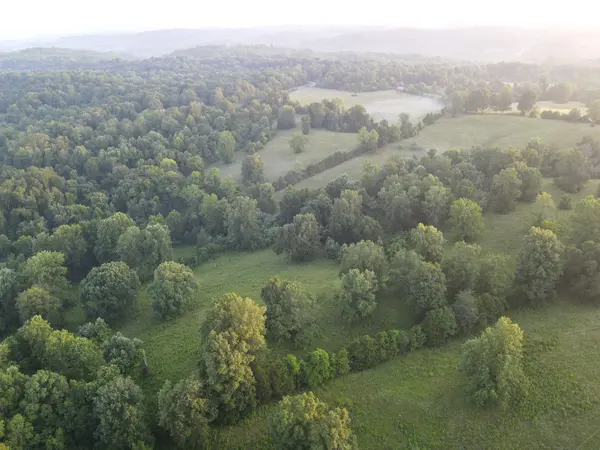 6 Shiloh Canaan Road, Palmyra, TN 37142