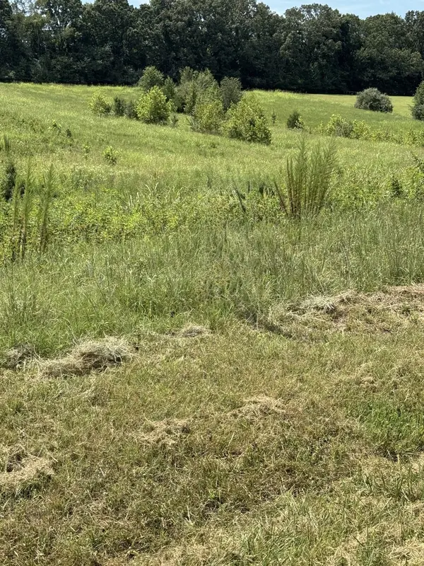 0 Honey Ln, Estill Springs, TN 37330