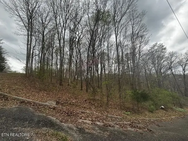 197 County Rd, Athens, TN 37303