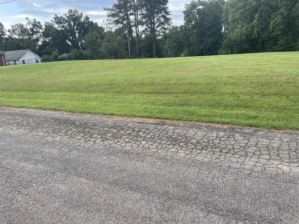 0 CANEY BRANCH RD, Adamsville, TN 38310