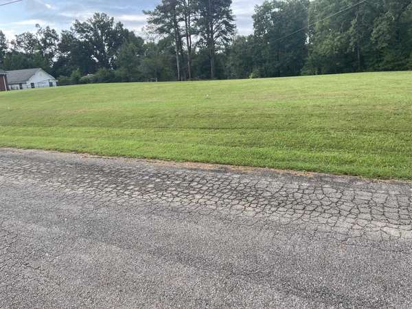 0 CANEY BRANCH RD, Adamsville, TN 38310