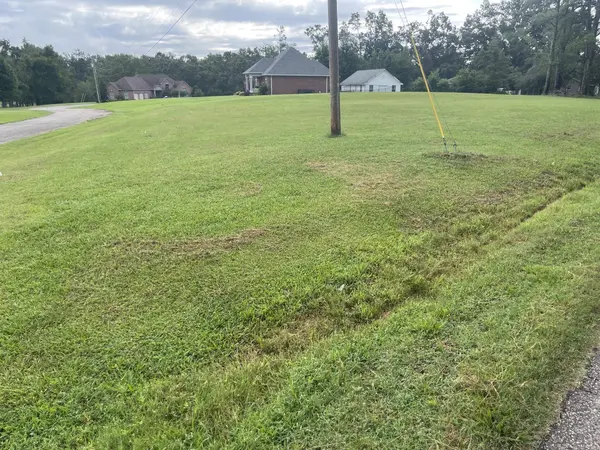 0 CANEY BRANCH RD, Adamsville, TN 38310