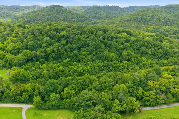 5023 Burt Burgen Rd, Bradyville, TN 37026
