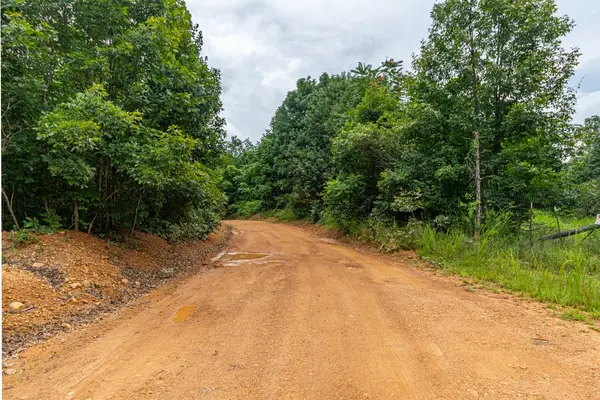 210 Loveman Lane, Hampshire, TN 38461