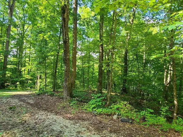 9 Walden Flats Way, Sevierville, TN 37862