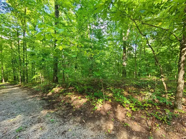 9 Walden Flats Way, Sevierville, TN 37862