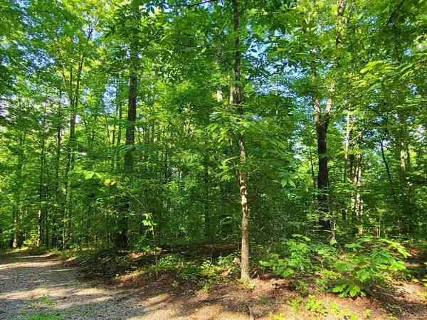 9 Walden Flats Way, Sevierville, TN 37862