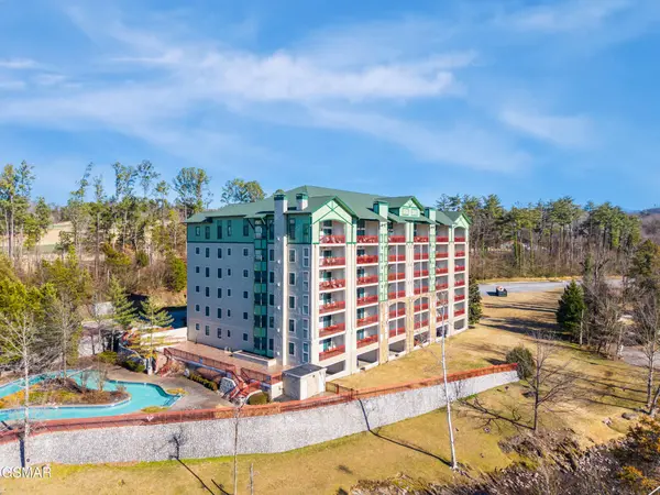 212 Dollywood Lane #UNIT 436, Pigeon Forge, TN 37863
