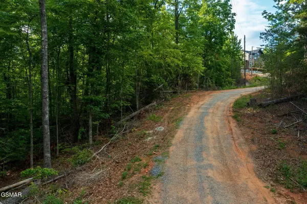 62 Pinnacle Vista Road, Gatlinburg, TN 37738