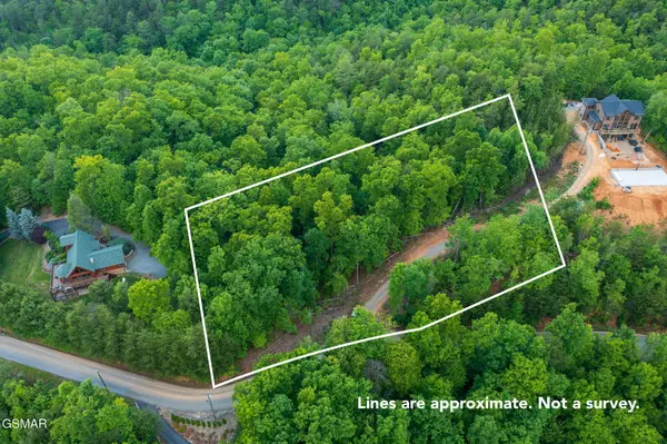 62 Pinnacle Vista Road, Gatlinburg, TN 37738