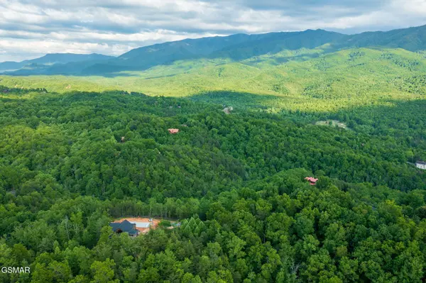 62 Pinnacle Vista Road, Gatlinburg, TN 37738