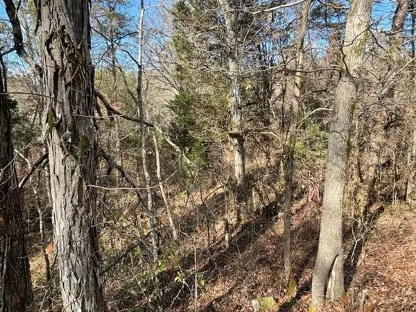 71 Happy Hollow Lane, Sevierville, TN 37876