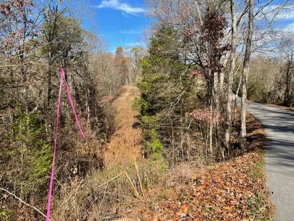 71 Happy Hollow Lane, Sevierville, TN 37876