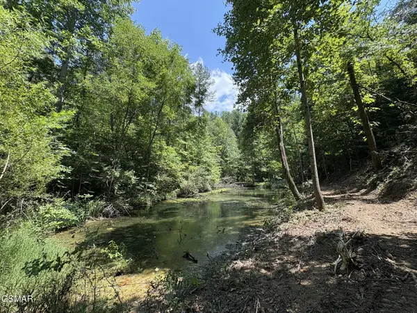 69 Oak Lake Dr, Sevierville, TN 37876